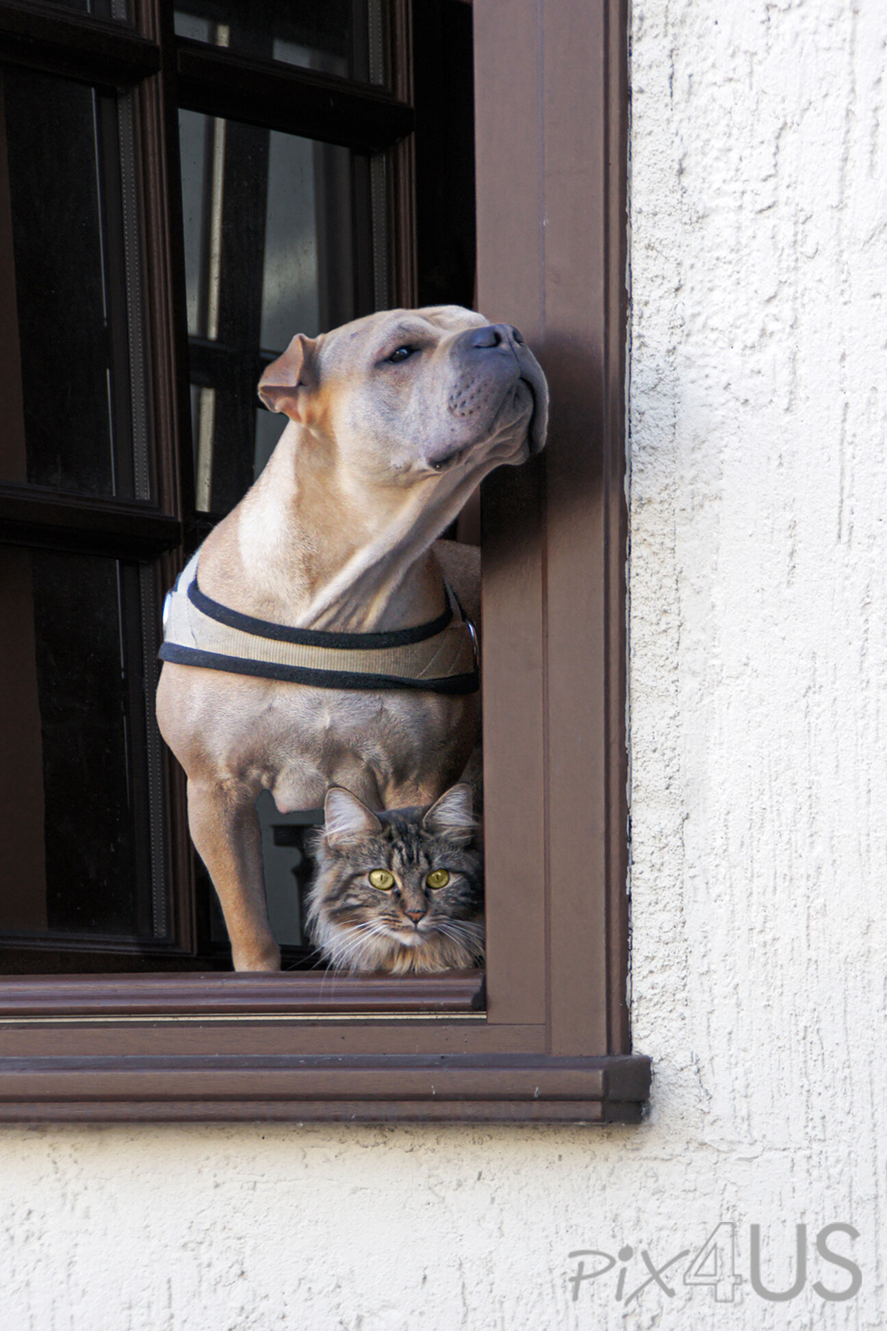 image-656