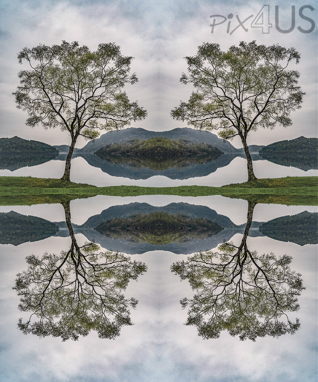 image-1674